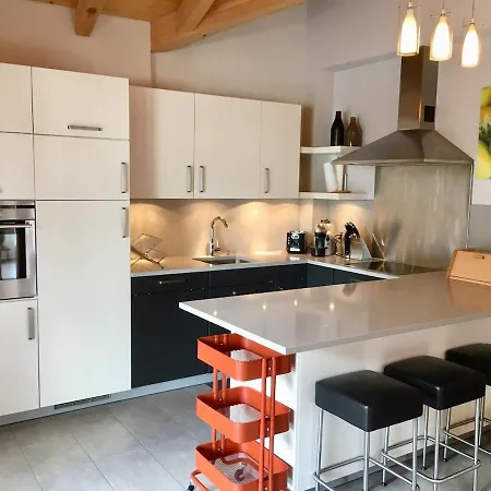 Luxurious Alpine Loft In Switzerland דירה *